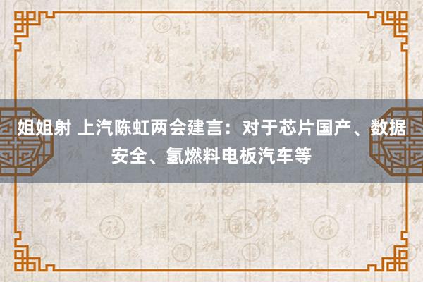 姐姐射 上汽陈虹两会建言：对于芯片国产、数据安全、氢燃料电板汽车等
