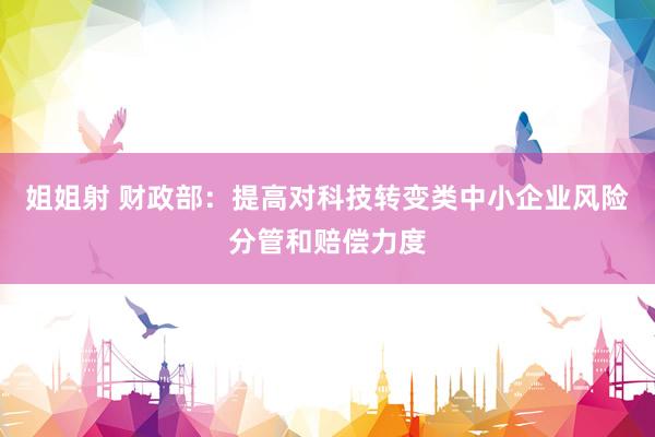 姐姐射 财政部：提高对科技转变类中小企业风险分管和赔偿力度