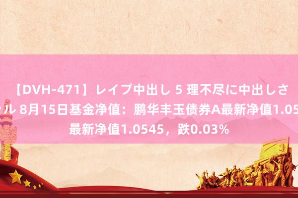 【DVH-471】レイプ中出し 5 理不尽に中出しされた7人のギャル 8月15日基金净值：鹏华丰玉债券A最新净值1.0545，跌0.03%