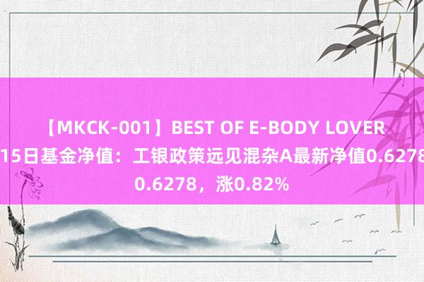 【MKCK-001】BEST OF E-BODY LOVERS 2008 8月15日基金净值：工银政策远见混杂A最新净值0.6278，涨0.82%
