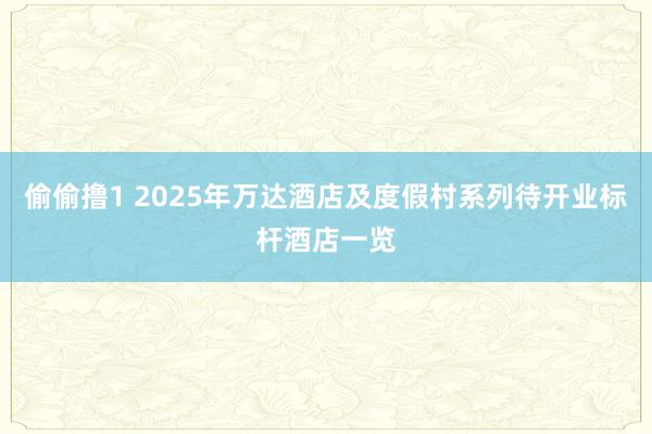 偷偷撸1 2025年万达酒店及度假村系列待开业标杆酒店一览