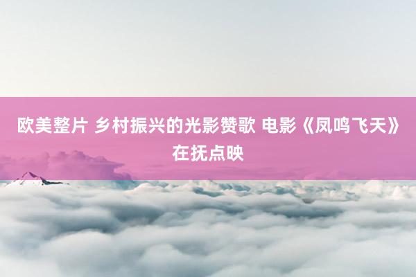 欧美整片 乡村振兴的光影赞歌 电影《凤鸣飞天》在抚点映
