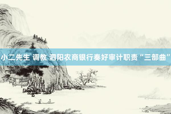 小二先生 调教 泗阳农商银行奏好审计职责“三部曲”