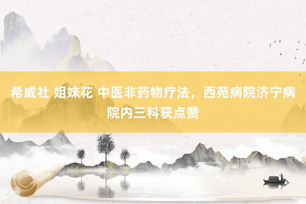 希威社 姐妹花 中医非药物疗法，西苑病院济宁病院内三科获点赞