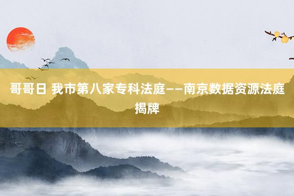 哥哥日 我市第八家专科法庭——南京数据资源法庭揭牌