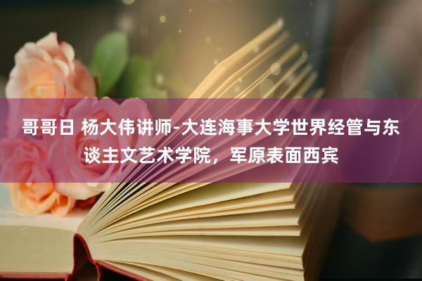 哥哥日 杨大伟讲师-大连海事大学世界经管与东谈主文艺术学院，军原表面西宾