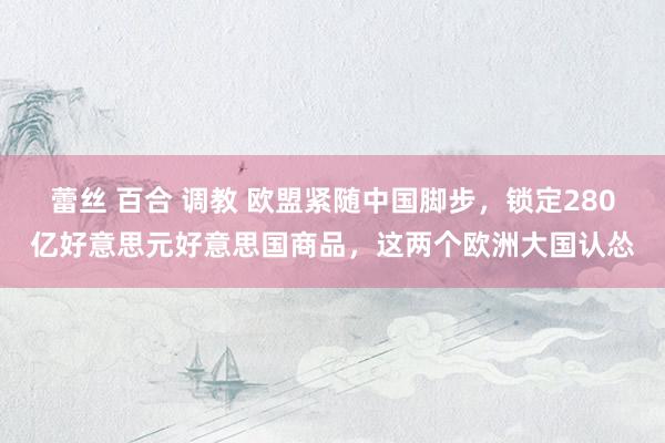 蕾丝 百合 调教 欧盟紧随中国脚步，锁定280亿好意思元好意思国商品，这两个欧洲大国认怂