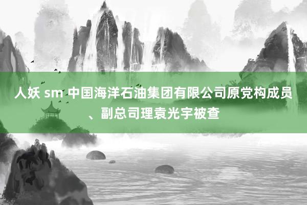 人妖 sm 中国海洋石油集团有限公司原党构成员、副总司理袁光宇被查