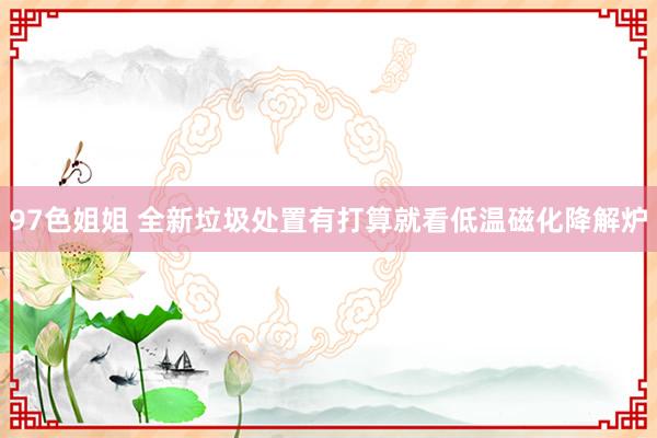 97色姐姐 全新垃圾处置有打算就看低温磁化降解炉