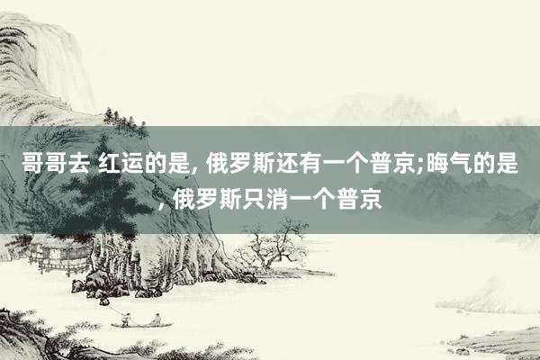 哥哥去 红运的是， 俄罗斯还有一个普京;晦气的是， 俄罗斯只消一个普京