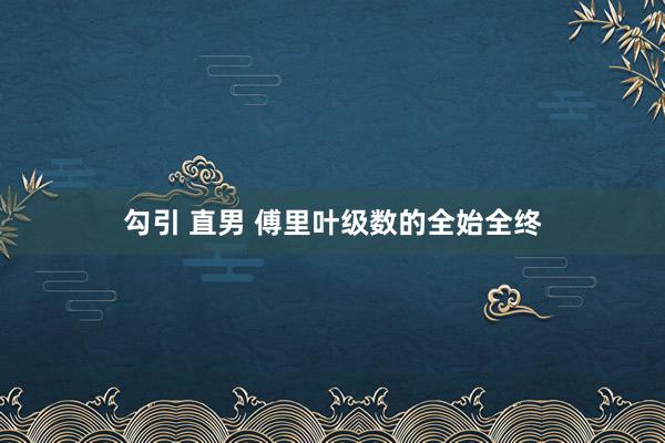 勾引 直男 傅里叶级数的全始全终