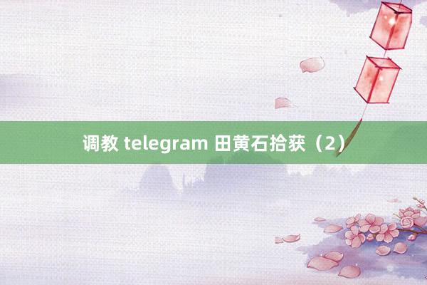 调教 telegram 田黄石拾获（2）