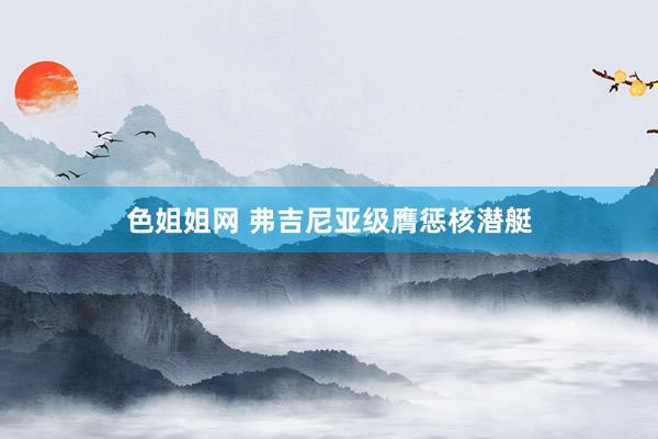 色姐姐网 弗吉尼亚级膺惩核潜艇