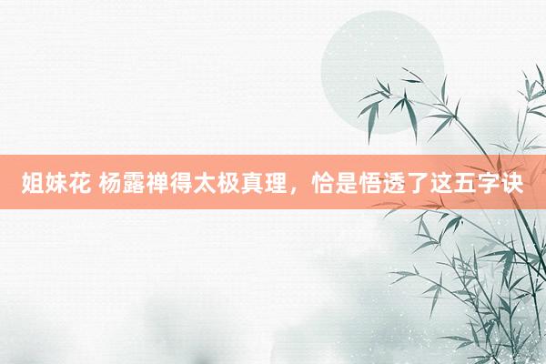 姐妹花 杨露禅得太极真理，恰是悟透了这五字诀